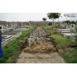 Belső úthálózat fejlesztés a temetőben