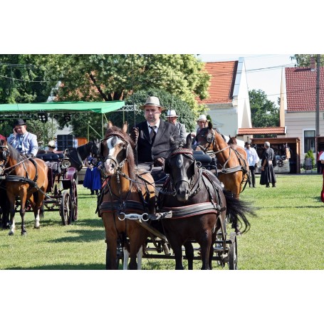 Újra visszatért a betyárság Kondorosra