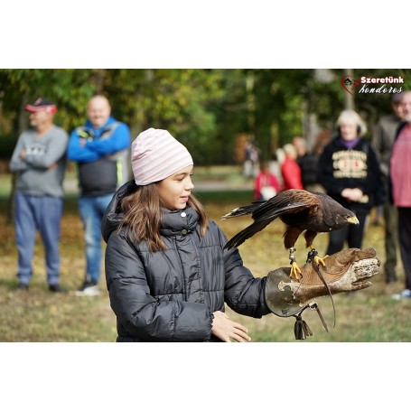 Ismét programmal telt meg a Batthyány-Geist Vadászkastély parkja