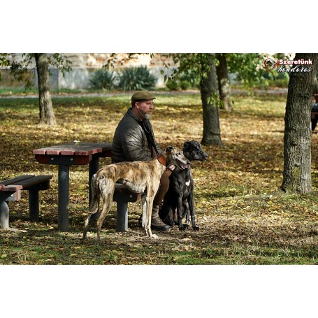 Ismét programmal telt meg a Batthyány-Geist Vadászkastély parkja