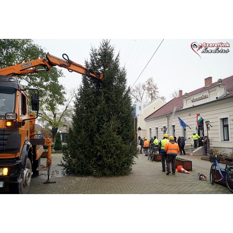 Megérkezett a város karácsonyfája