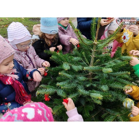 Apró kezek díszítették a fenyőfákat