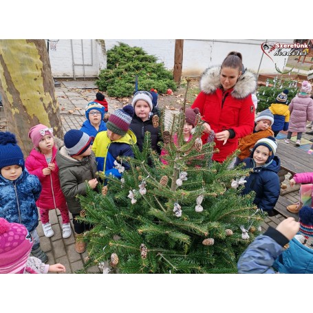 Apró kezek díszítették a fenyőfákat