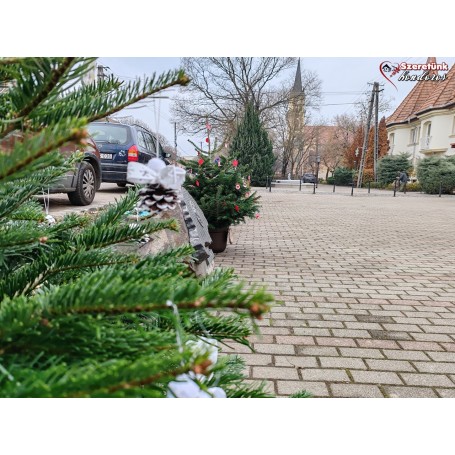 Apró kezek díszítették a fenyőfákat