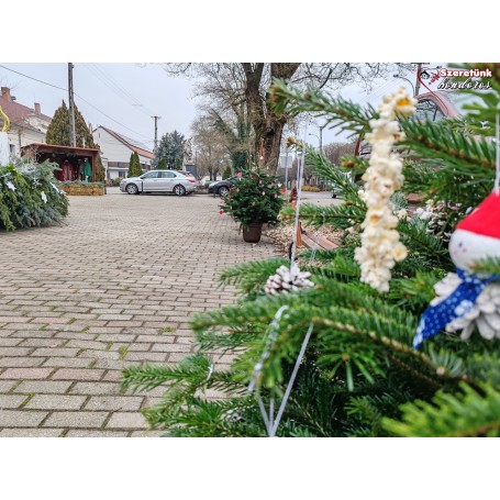 Apró kezek díszítették a fenyőfákat